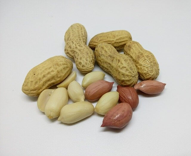 dry fruit